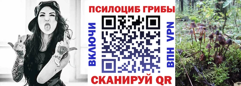 Купить закладки  Красноармейск  Галлюциногенные грибы Cubensis 